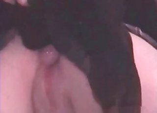 Ein gelehrter Hund und ein erstaunlicher Zoophiler