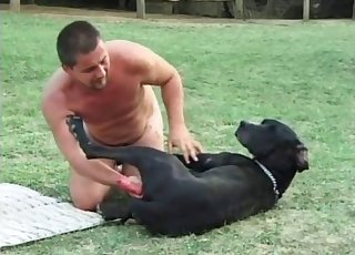 Dog is getting fucked by a male