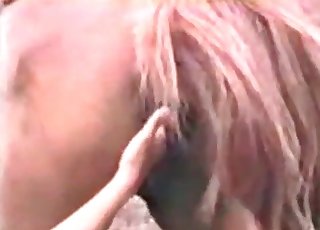 Horse is getting fingered by a zoophile