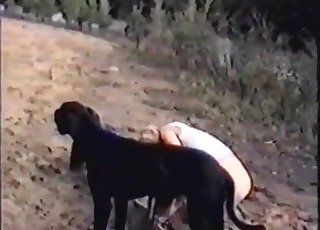 Hardcore outdoor bestiality action with a dog