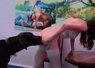 Stram vagina spiddet stiv af en Doberman