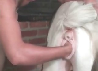並外れた種牡馬と狂った動物愛好家