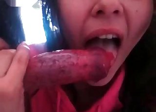 Achterkant krijgt een perfect hoofd van een zoöfiel