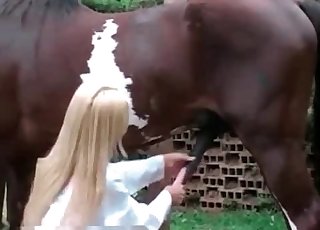 Sweet bleached lady is wanking a pony cock