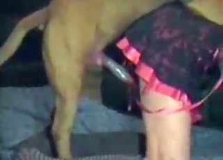 Ein als Transvestit aussehender Zoophiler wird gefickt