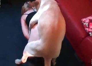 टाइट चूत वाली लड़की और एक कुत्ता