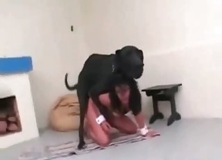 ウェブカメラで絶妙な野獣ファック