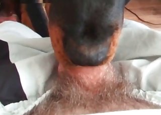 Slutty doggy-style deepthroat action