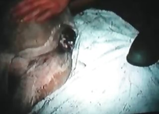 Cum-filled cock-squeezing animal hole