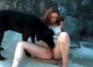 Black dog fucking her on cam