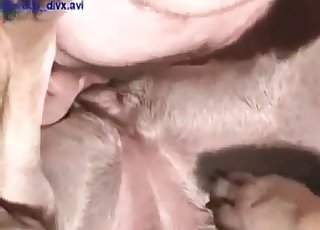Anal lovemaking with a horny hunter