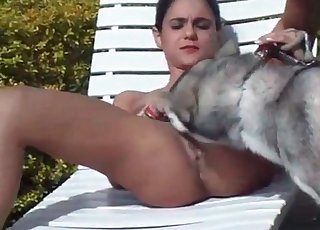 Shaved pussy licked by a dog