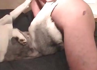 Fucking cute doggie in the ass