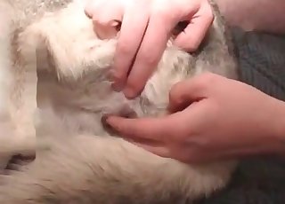 操，可爱的小狗屁股