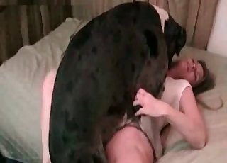 Ihre Muschi wurde von einem großen Hund gefickt