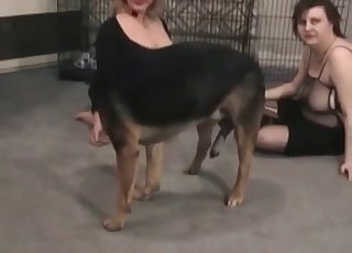 MILF gets seduced by a dog