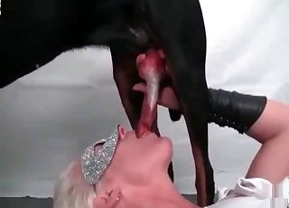 Dog cock sucked by a masked woman