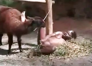 Farm animal drills an ebony slut