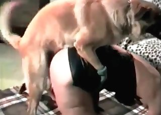 Dog gets down and dirty with the holder