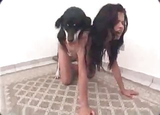 Babe is getting screwed by a dog