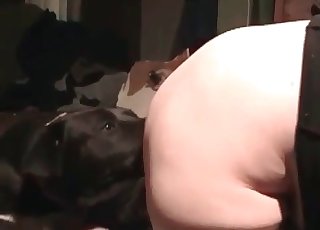 Animal going knuckle deep action in HQ