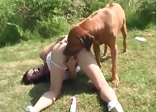 Bestiality sex on the green grass