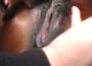 Just exploring a juicy horse anus