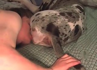 Hubby is kissing our sexy pet