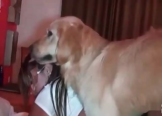 Dog drills a juicy wet vagina