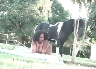 Fat Latino slowly deepthroats a horse