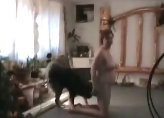 Fat slut and her gifted husky