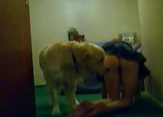Descubriendo mi coño para un perrito