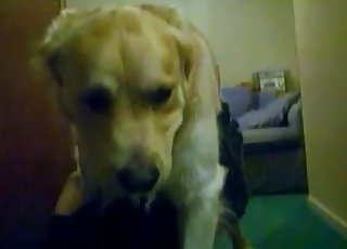 Avdekker fitta mi for en doggy