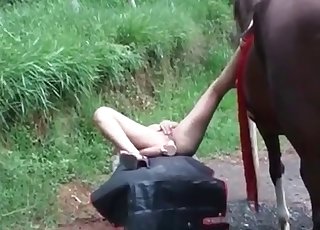 Youthfull blonde sucking a stallion
