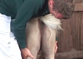 Preparing this white pony for sex