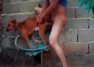 Smallish doggy in the super-fucking-hot animality
