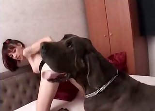 Giant mutt and petite zoophile