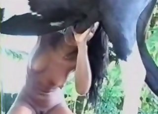 ポニーとの獣のような冒険