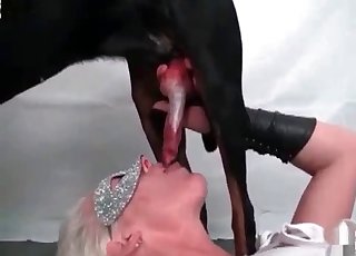 Playful bitch licked by a mutt