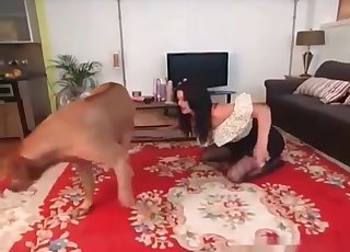 Rise up your skirt for a dog
