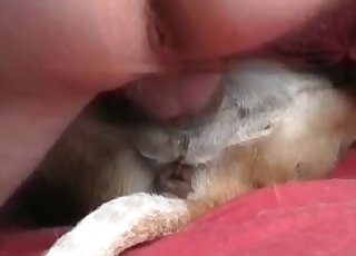 Gorgeous anal sex with my dog
