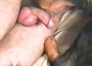 Let me just fuck this mutt