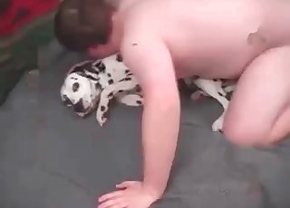 Fucked Dalmatian and addicted zoophile