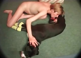 Laying mutt is being sucked hot
