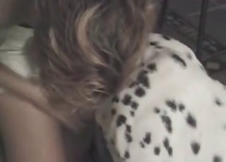 Spotted animal gets into animality