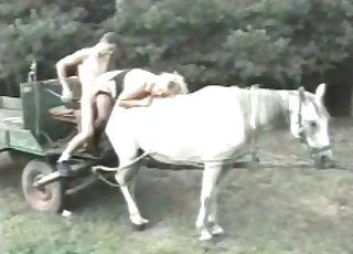 Family couple smashes on a horse
