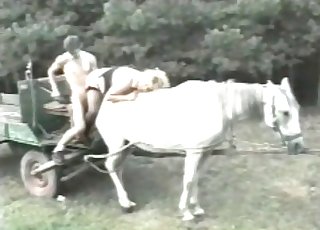 Family couple smashes on a horse
