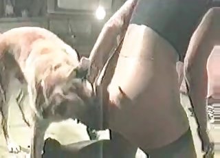 Playful doggy impales my twat