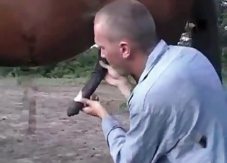 Bestiality dick comparison