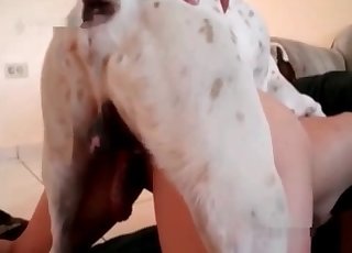 Unzüchtiger Sex mit einem feststeckenden Hund